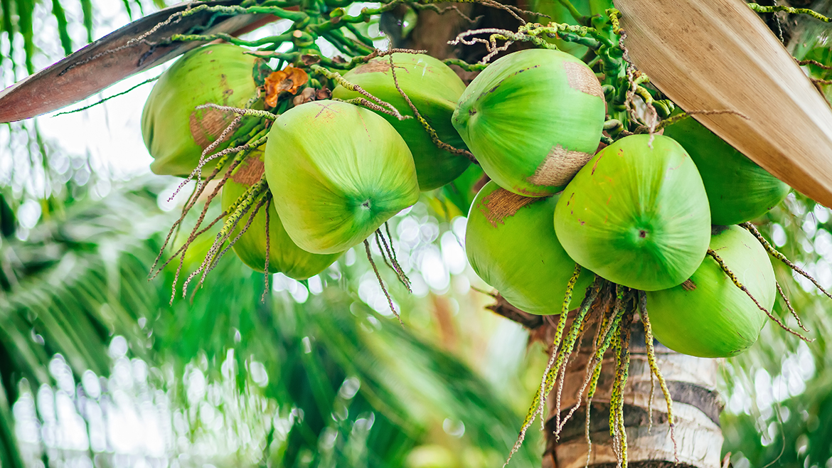 blog thumb not found